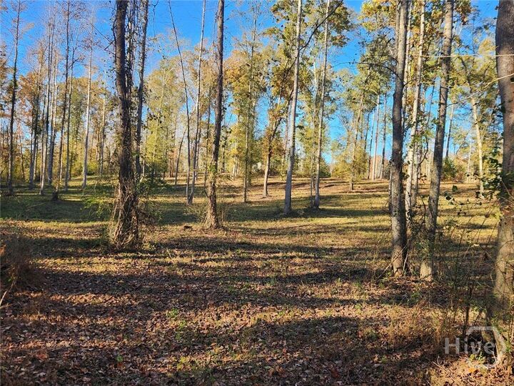 Property Photo:  0-Tract 3 Drake Woods Rd  GA 30633 