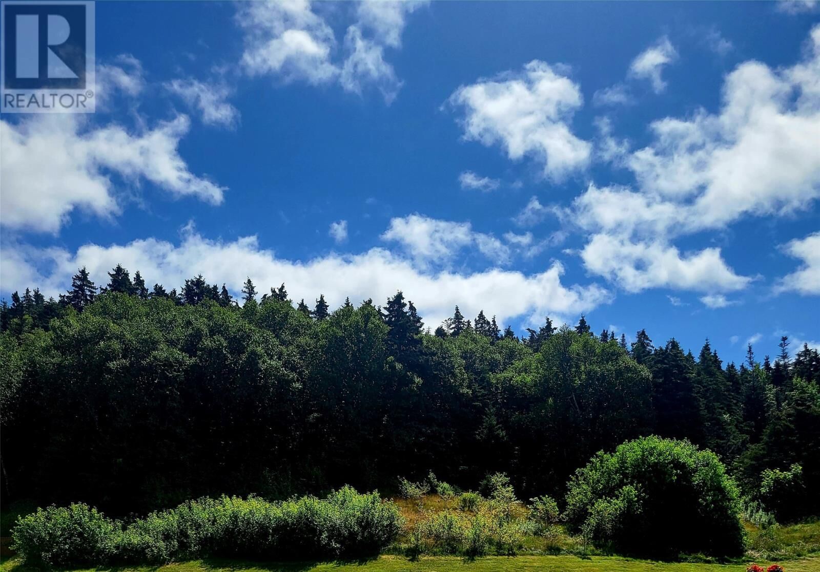 Property Photo:  38 Cathill Road  NL A0A 1G0 