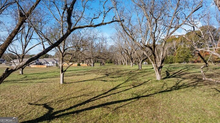 Property Photo:  153 Chinaberry Street  GA 31822 