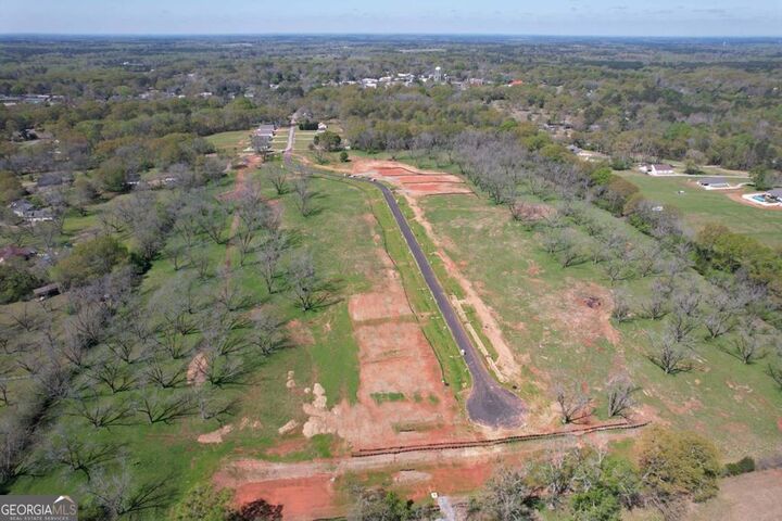 Property Photo: 137 Chinaberry Street GA 31822