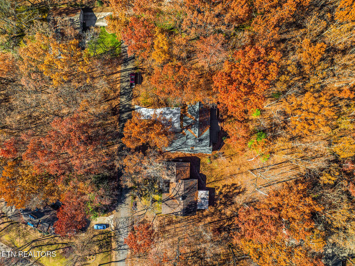 Property Photo: 119 Juniper Drive TN 38558