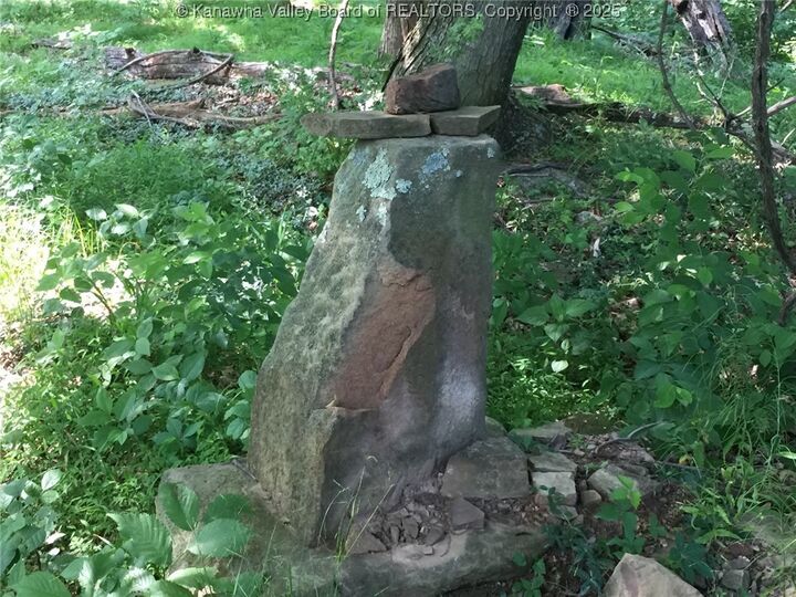 Property Photo: 0 Fleshers Run Road WV 26164