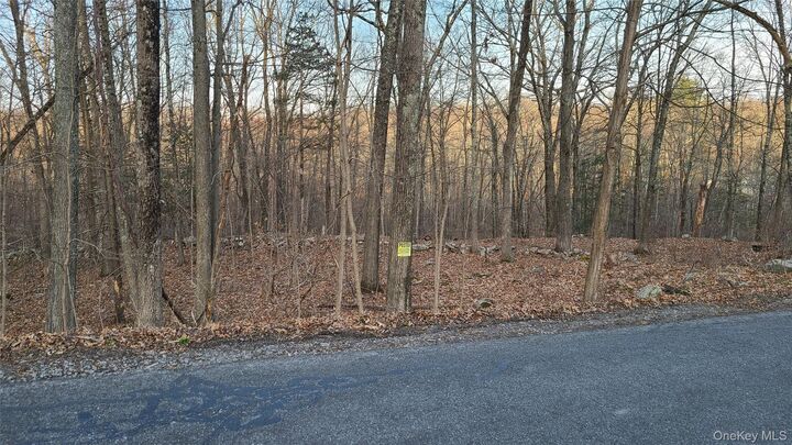 Property Photo: Tbd Hawleys Corner Road NY 12528
