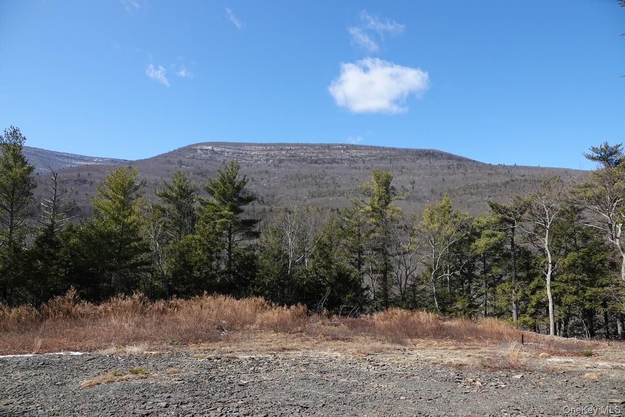 Property Photo:  Tbd Manorville Road  NY 12477 