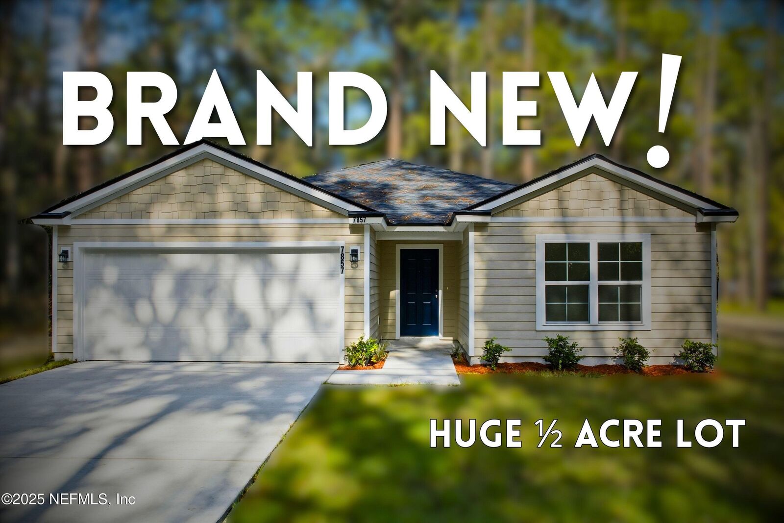 Property Photo: 7857 Pipit Avenue FL 32219