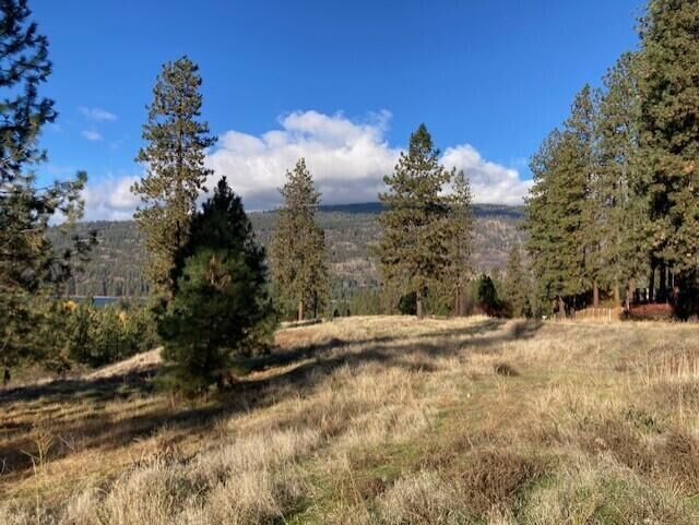 Property Photo: 1351 Lake Roosevelt Way WA 99141