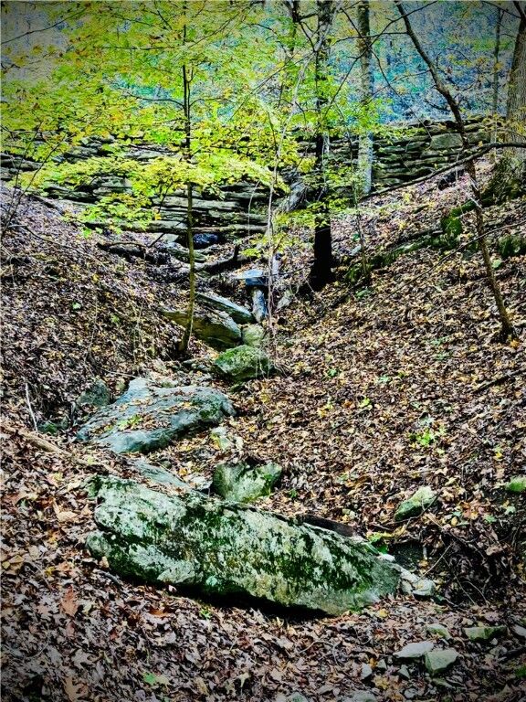 Property Photo: Lot # 11 Jackson Ridge AR 72631