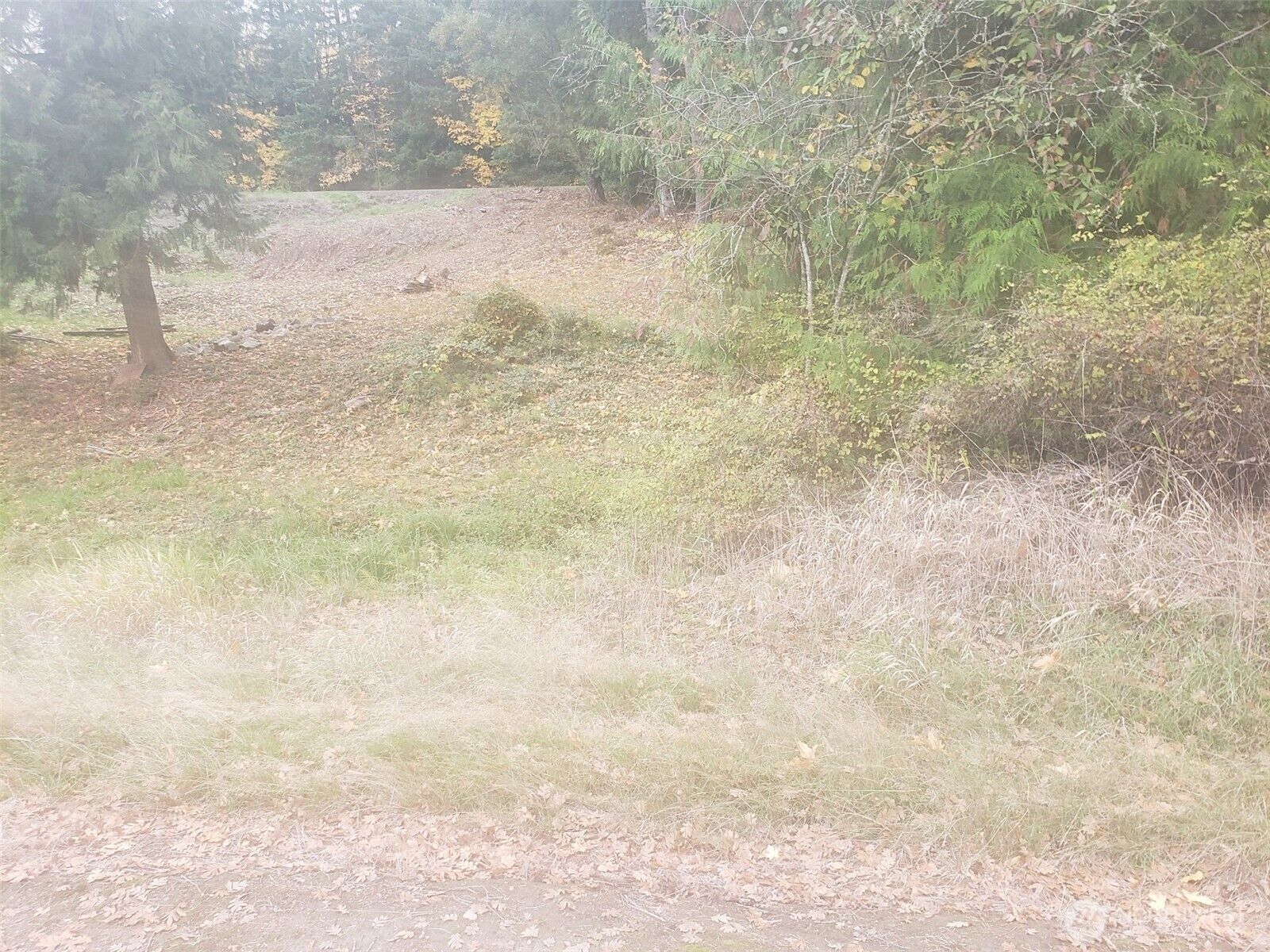 Property Photo:  111  Grade Street  WA 98626 