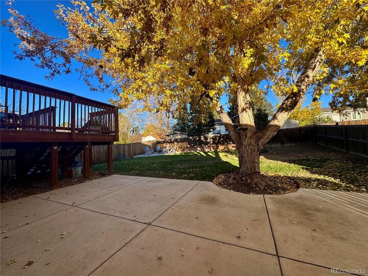 3920 S Truckee Court  Aurora CO 80013 photo