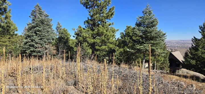 Property Photo:  390 Irvington Court  CO 80906 