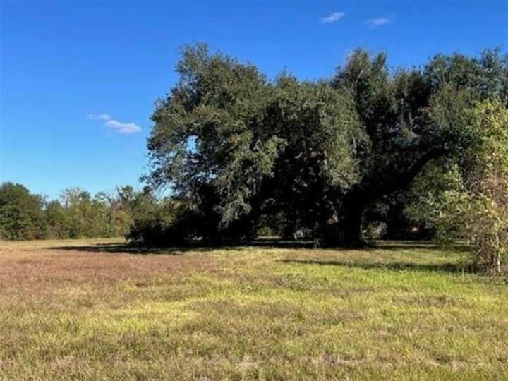 Property Photo: Perry Street LA