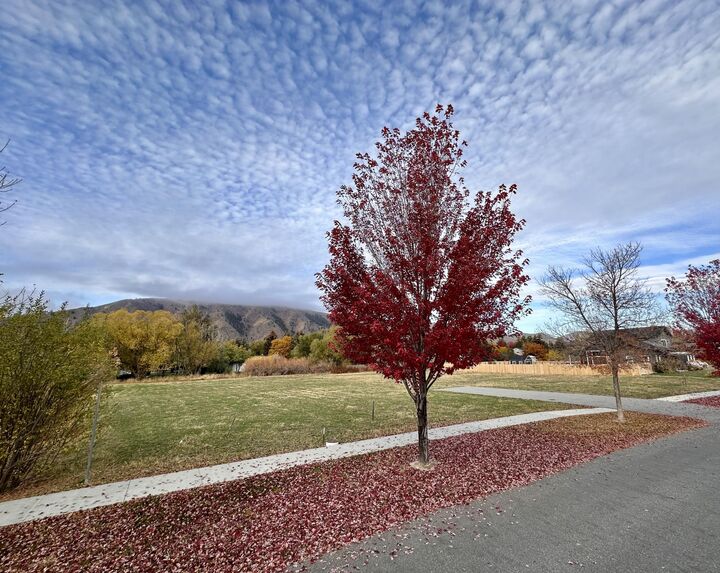 721 Cd Olena Dr  Hailey ID 83333 photo