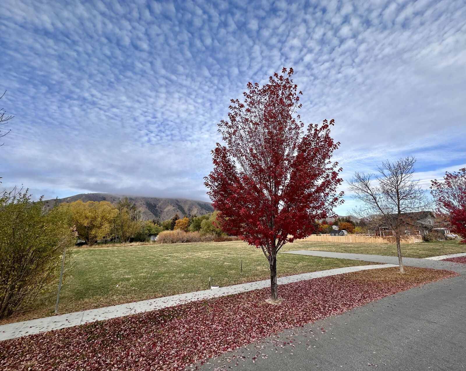 Property Photo:  721 Cd Olena Dr  ID 83333 