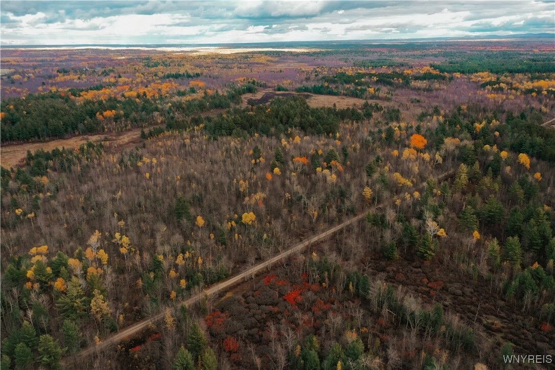 Property Photo:  Smith Road  NY 13613 