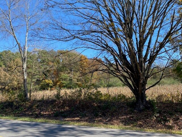 Property Photo: 1639 Tennga Gregory Road GA 30711