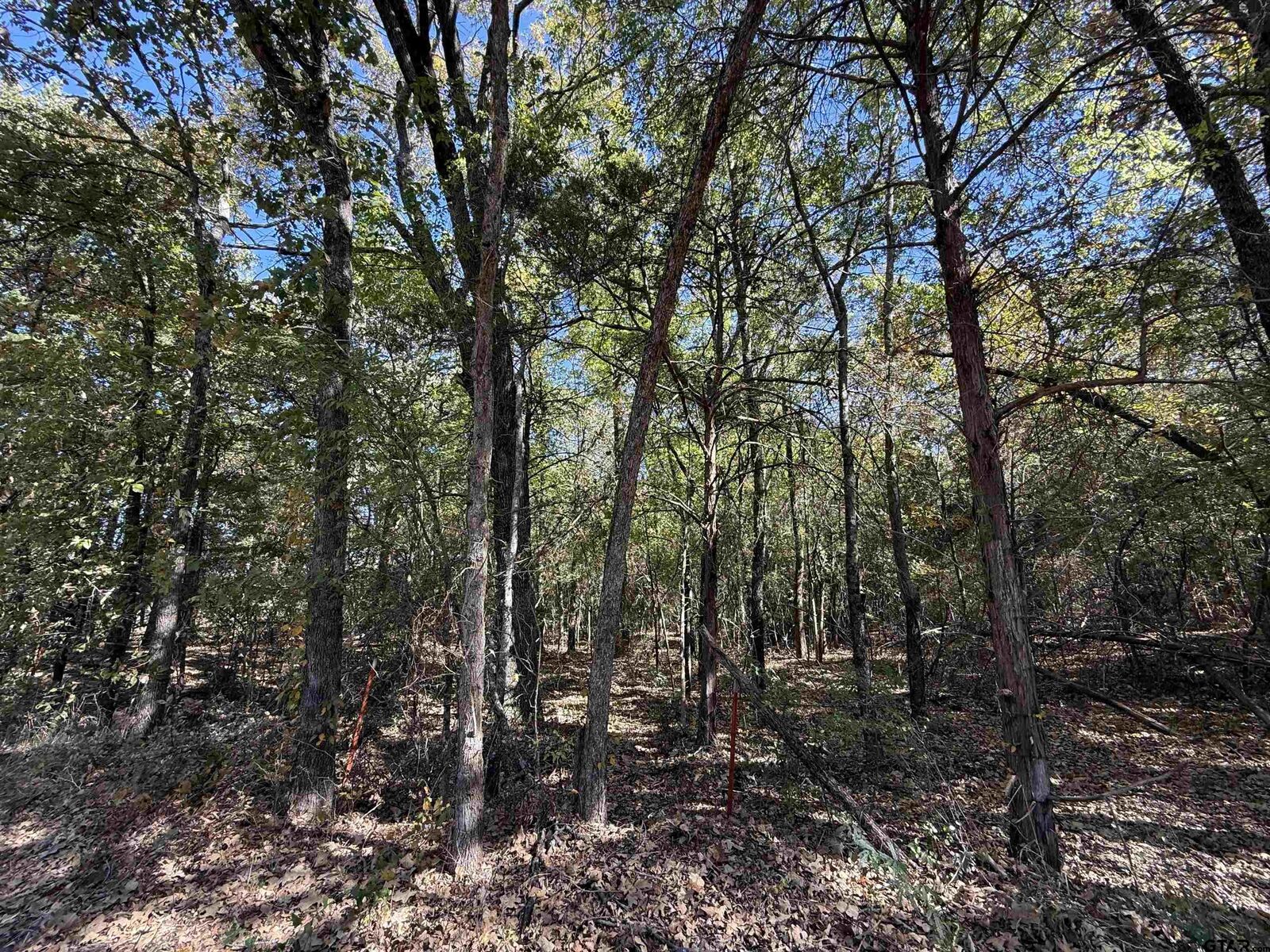 Property Photo: 000 C R 1412 TX 75790