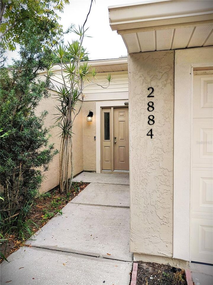 Property Photo: 2884 Cinnamon Bear Trail FL 34684