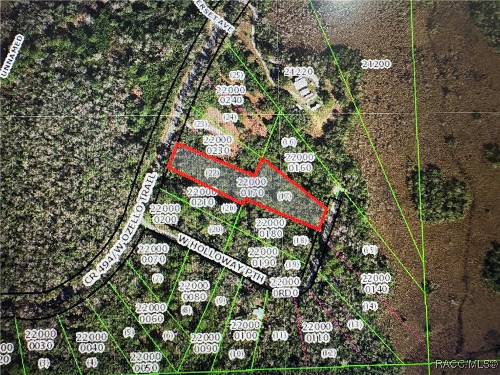 Property Photo:  10043 W Holloway Path  FL 34429 