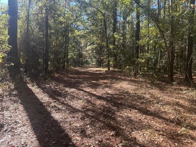 Property Photo: 15196 Casland Drive FL 32309