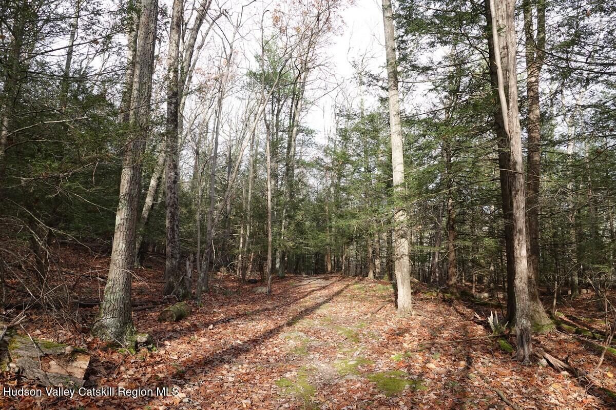 Property Photo:  738 Manorville Road  NY 12477 