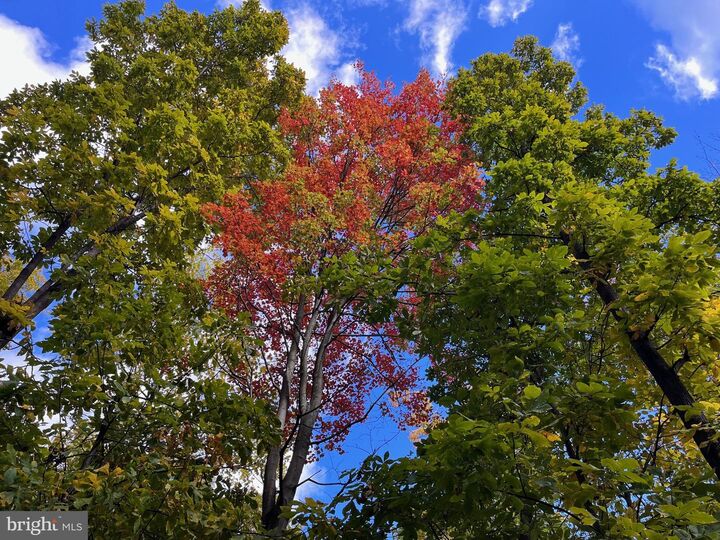 Property Photo: 1855 Ridge Road VA 20169