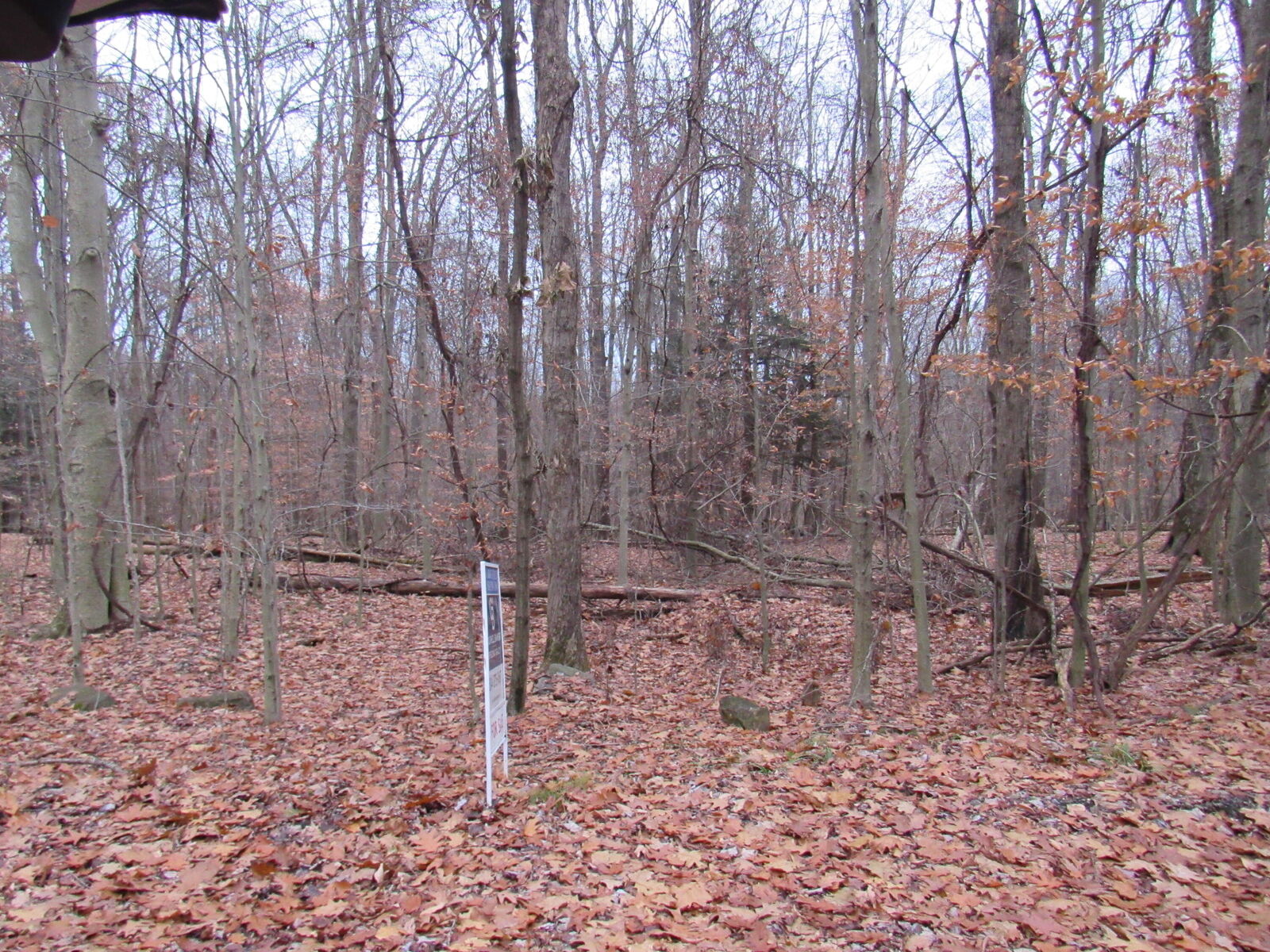 Property Photo: 25 Biscayne Rd PA 15801