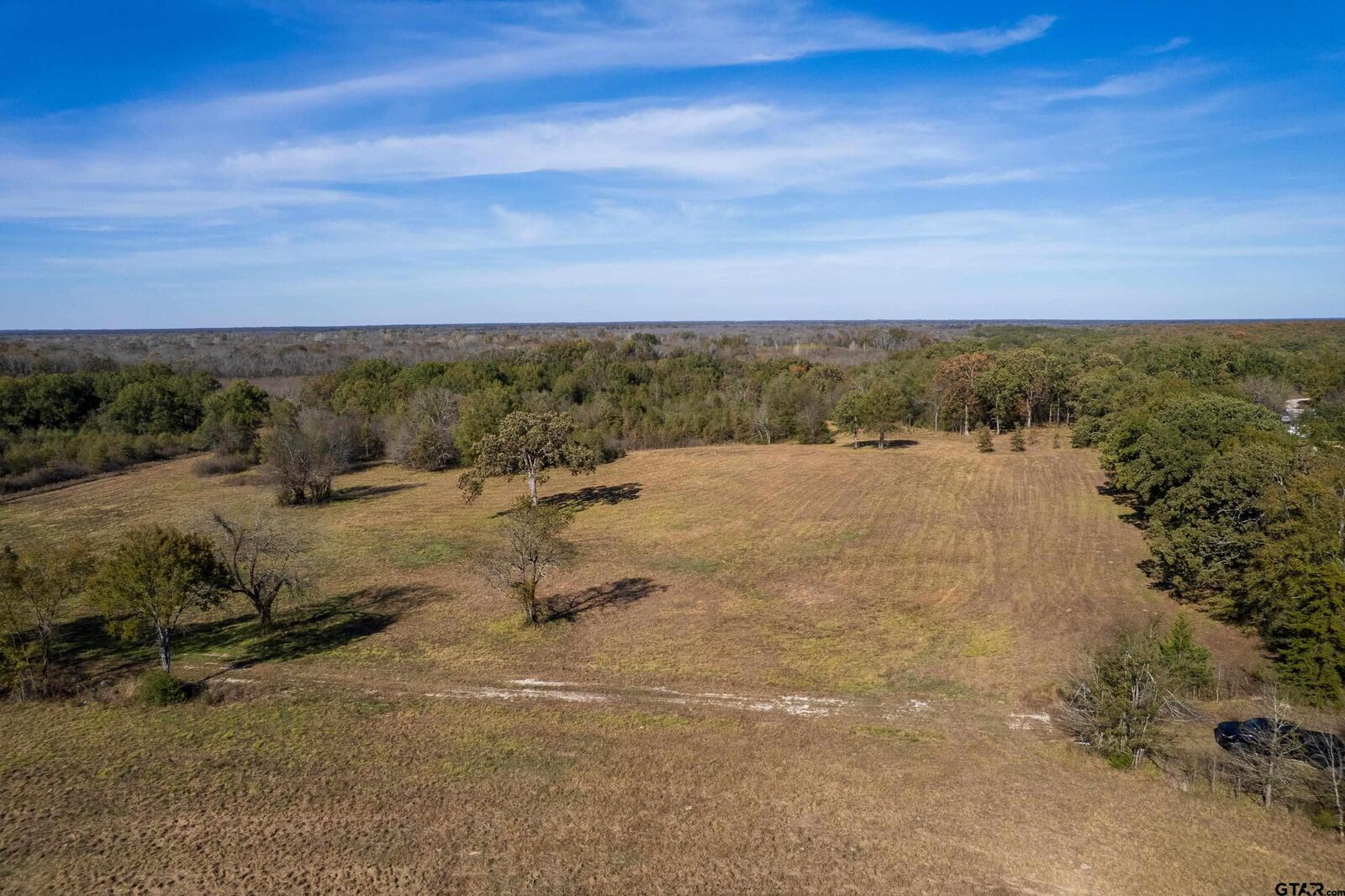 Property Photo:  Tbd Fm 71  TX 75487 