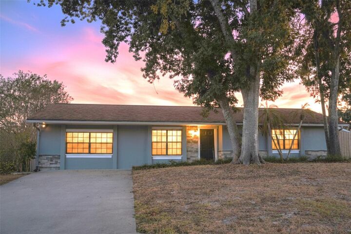 11213 Creekview Drive  Riverview FL 33569 photo