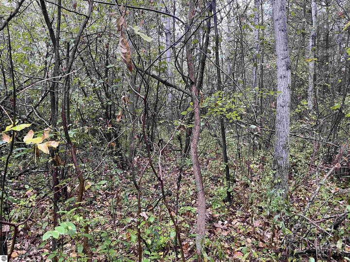 Property Photo:  35 Wilber Road  MI 48763 