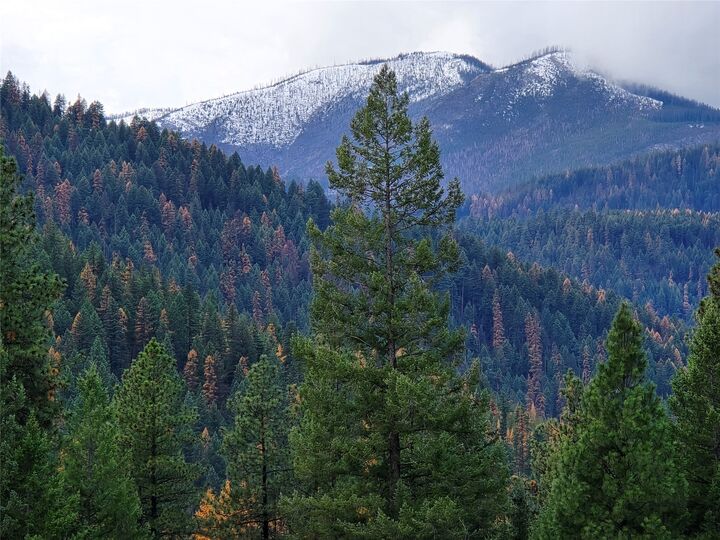 Property Photo:  Tbd Quartz Road  MT 59923 