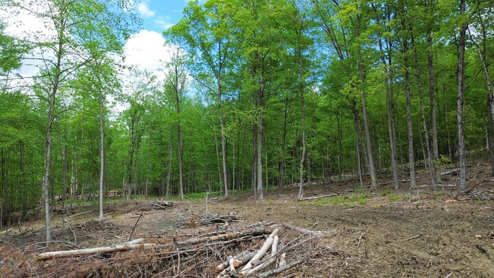 Property Photo:  Lot 26-3 Plain Road  NH 03451 
