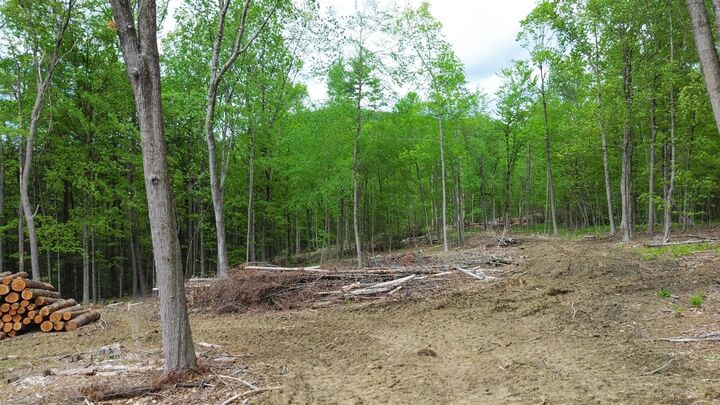 Property Photo:  Lot 26-2 Plain Road  NH 03451 