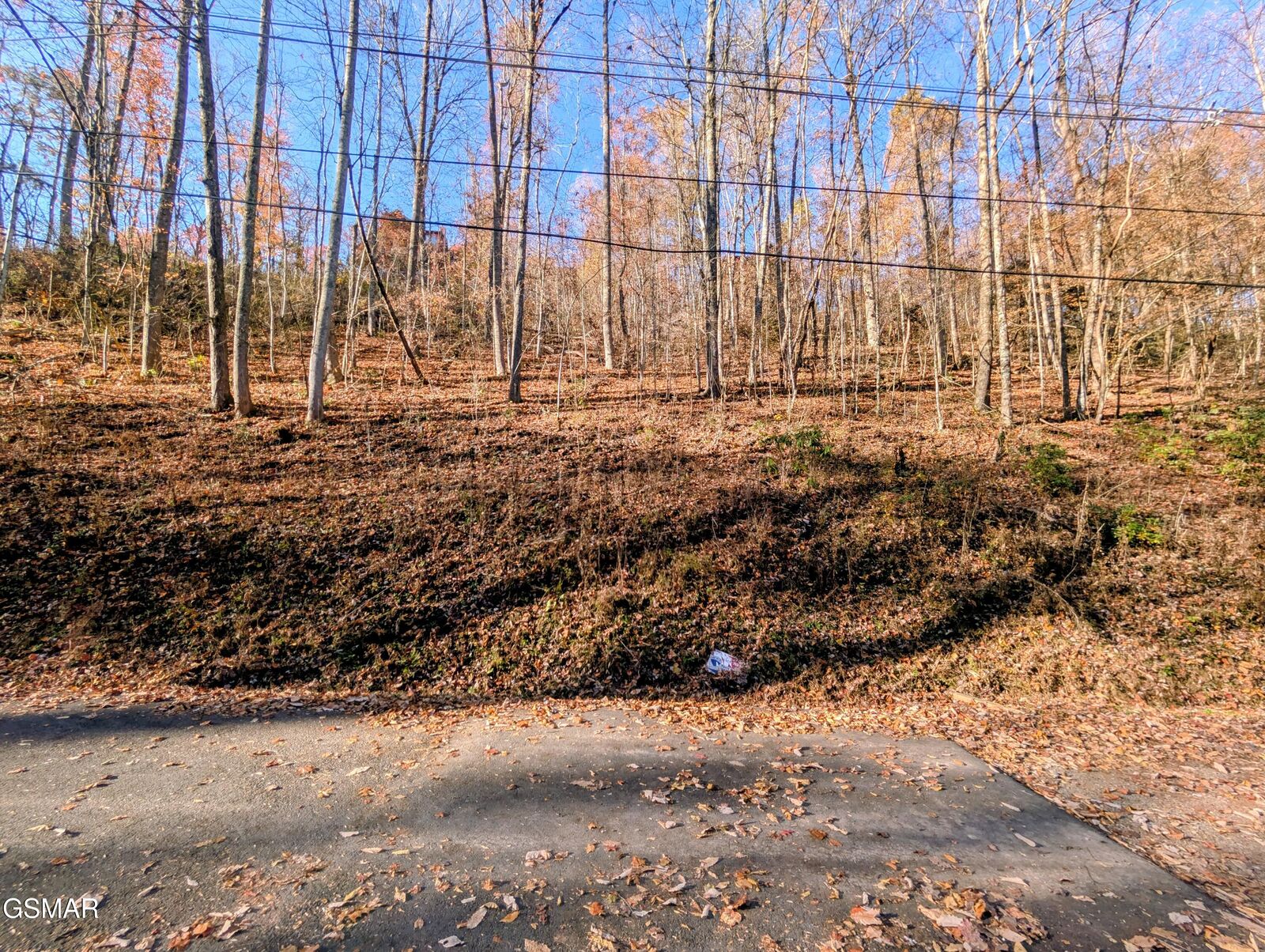 Property Photo:  Lot 1273 Raymond Hollow Road  TN 37876 
