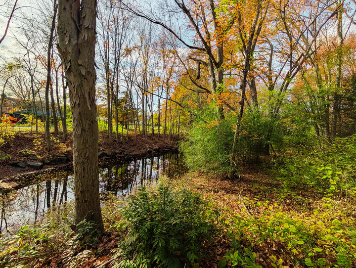 Property Photo: 205 Nichols Avenue CT 06484