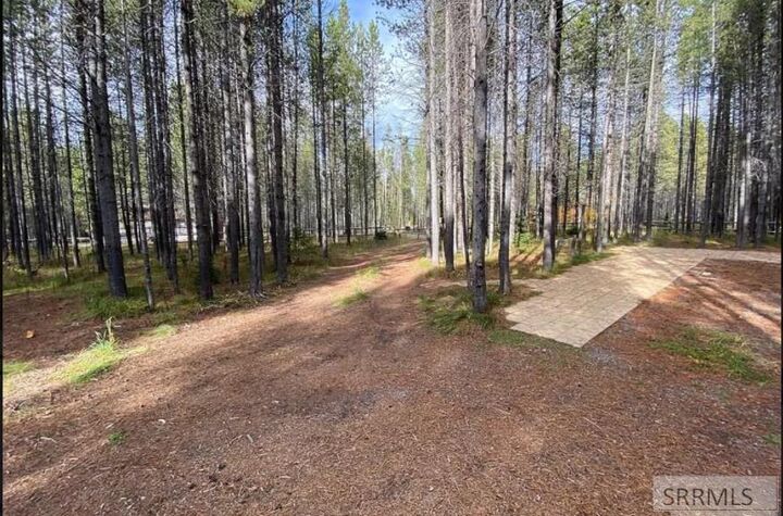 Property Photo: 4042 Marlin Drive ID 83429