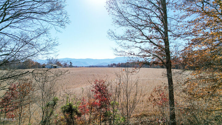Property Photo: 190 Treadway Rd TN 37641