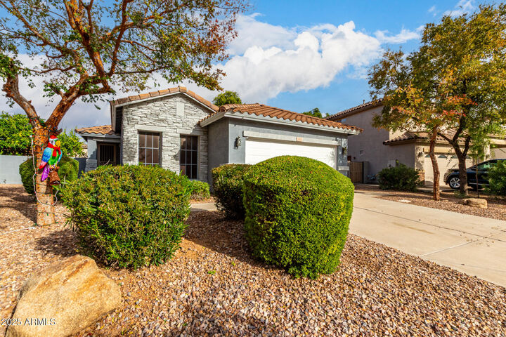 Property Photo:  4452 E Moreno Court  AZ 85297 
