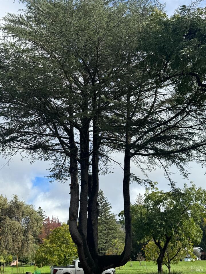 Property Photo:  4300 Cereda Lane  CA 94534 