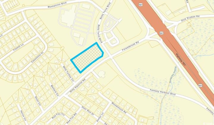 Property Photo:  Tbd Belle Terre Blvd.  SC 29588 