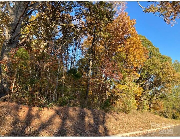 Property Photo:  00 Robinson Road  NC 28144 