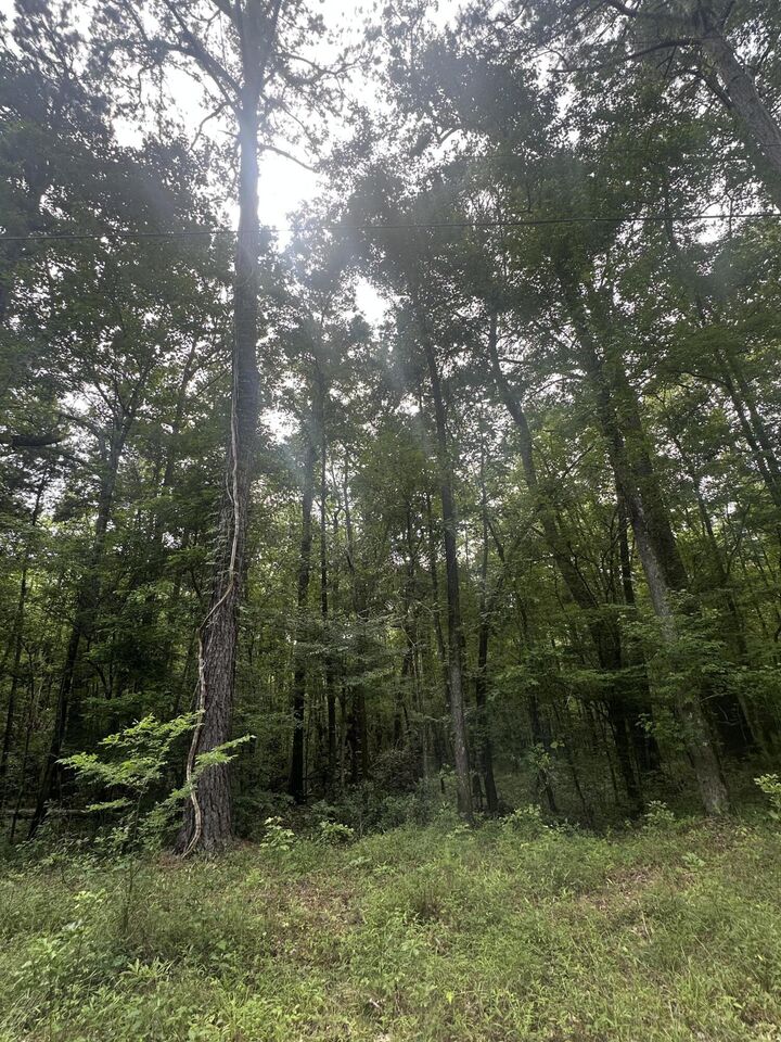 Property Photo:  00 Weir Street  SC 29483 