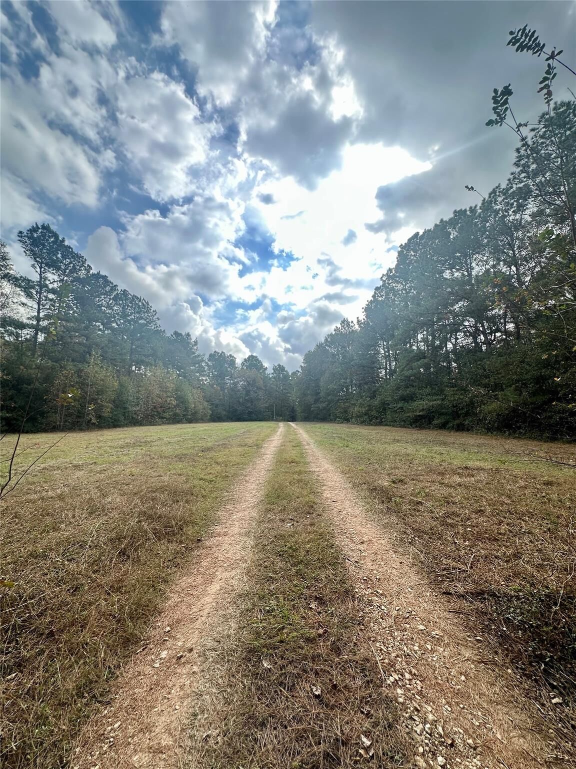 Property Photo: 11140 Fm 1484 Road TX 77303