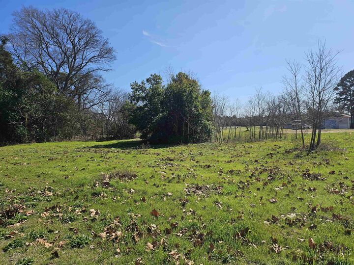 Property Photo:  Tbd Fm 1002 & Pr 3811  TX 75755 
