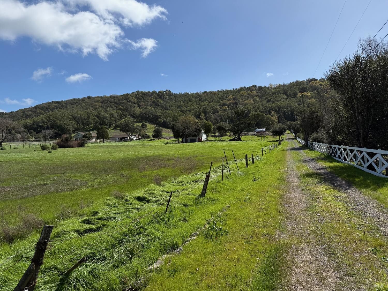 Property Photo:  805 Atherton Avenue  CA 94945 