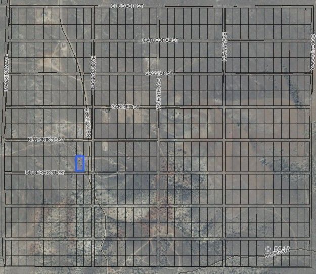 Property Photo:  066020021 Bitterroot  NV 89801 