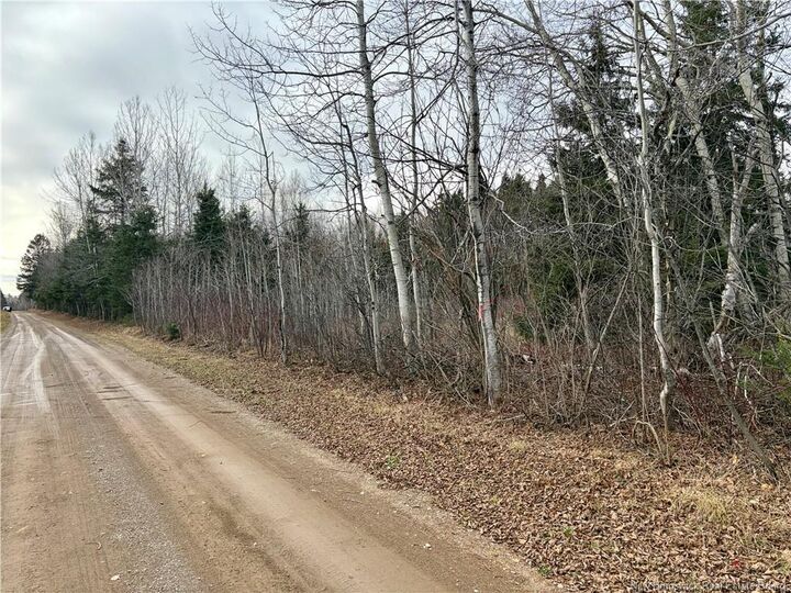 Property Photo:  Vacant Land Cook Rd  NB E8E 2T9 