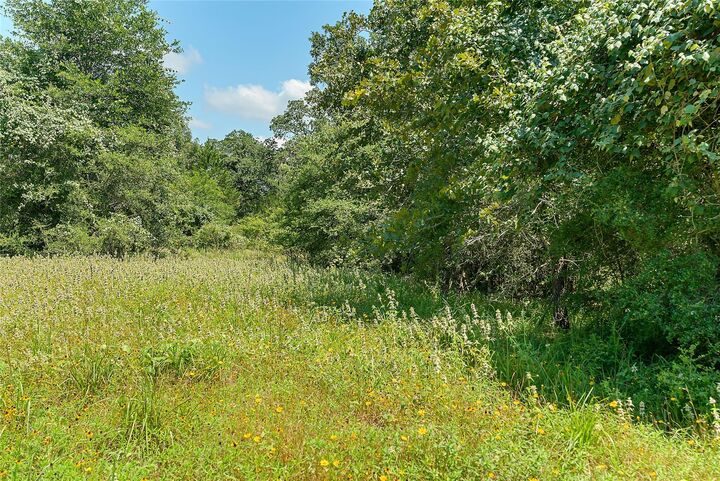 Property Photo: 19231 County Road 215 TX 78962