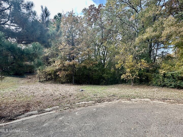 Property Photo:  0 Ashton Place  MS 39056 