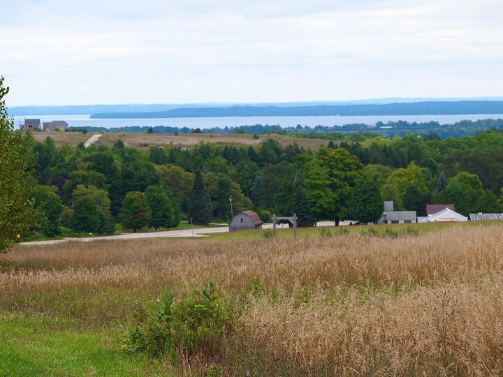 Property Photo:  Parcel C E Duck Lake Road  MI 49682 