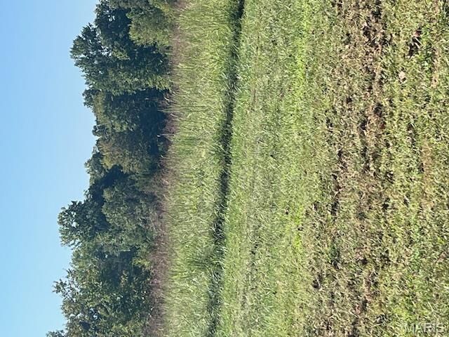 Property Photo: Lot 8 Egypt Mills Ridge MO 63701